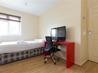 Picture 5